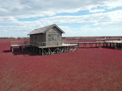 Red Seabeach